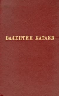 Обложка Фиалка