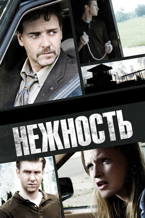 Постер Нежность