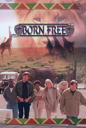 Постер Born Free