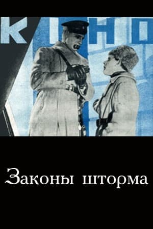 Постер Законы шторма