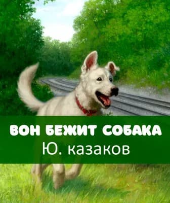 Обложка Вон бежит собака