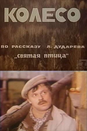 Постер Колесо