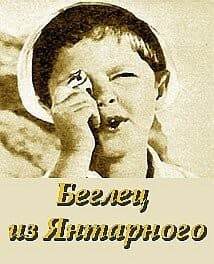 Постер Беглец из «Янтарного»