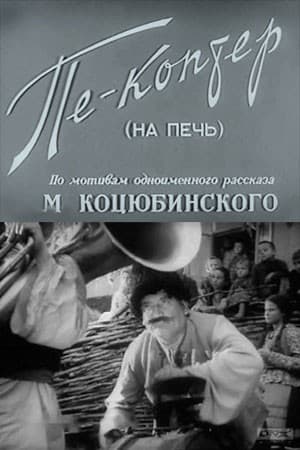 Постер Пе-коптер (на печь)