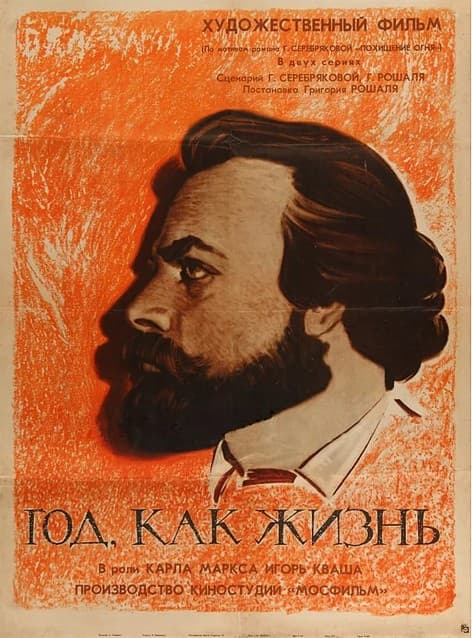 Постер Год как жизнь