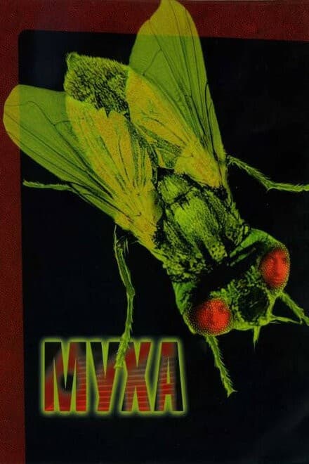 Постер Муха