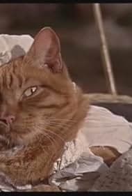 Постер The Three Lives of Thomasina